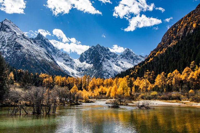 Global Seasonal Climate Update for October-November-December 2025