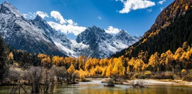 Global Seasonal Climate Update for October-November-December 2025