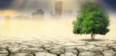 WMO Air Quality and Climate Bulletin highlights vicious cycle