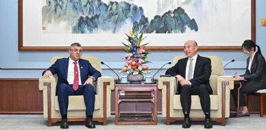 Chinese vice premier meets WMO president