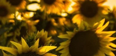 People spend over two days a year talking about the weather amid potential record-breaking summer warmth