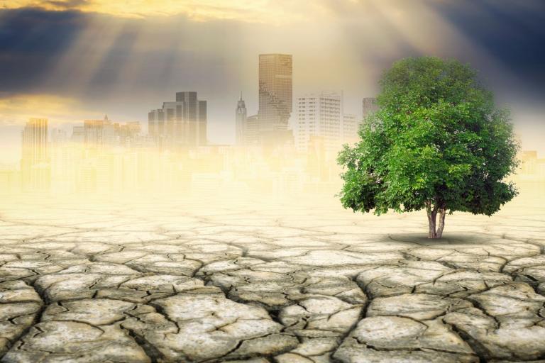 WMO Air Quality and Climate Bulletin highlights vicious cycle