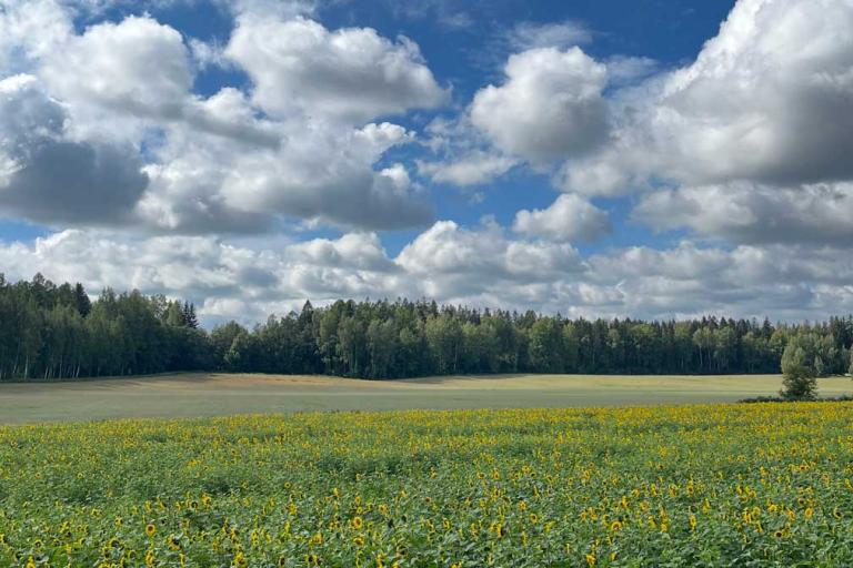 August warmer than usual in Lapland, summer as a whole marked by a record heatwave and varying weather